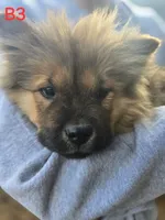 processed/d4658212-13bb-46cd-af20-e7982656373e/listing/d8dcc5c4-ae90-489d-baef-c49ecef0423d/5414b835-aa11-4d84-8632-1c2414b5e095