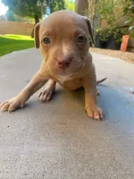 processed/d4680539-8493-422a-b1c7-dd6ebb9596cf/listing/d10556ae-6852-4fda-a24e-70c11de87579/6d5a41aa-ad61-4828-aa53-13af0598494c