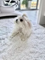 processed/d468186e-048f-4ba3-bc85-8e6dda559ce8/listing/ed3713db-75e9-48cc-947a-0c67492e171c/6691426f-3fda-4634-90a9-5c6261f2ac29