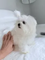 processed/d468186e-048f-4ba3-bc85-8e6dda559ce8/listing/ed3713db-75e9-48cc-947a-0c67492e171c/87aa90a9-4199-4a0d-861f-637111a82ca1