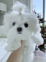 processed/d468186e-048f-4ba3-bc85-8e6dda559ce8/listing/ed3713db-75e9-48cc-947a-0c67492e171c/c2e0779e-9168-4928-a418-5da2ce4bf780