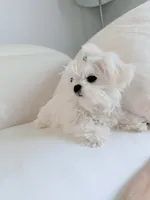 processed/d468186e-048f-4ba3-bc85-8e6dda559ce8/listing/ed3713db-75e9-48cc-947a-0c67492e171c/efd98bf2-3df1-40e6-812e-062b70e2ef49