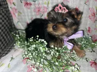 processed/d47b46e5-9207-4cc4-9f2b-ca1b657d922f/facility/05e37344-09fb-4355-b3e6-f785b2cdd15b