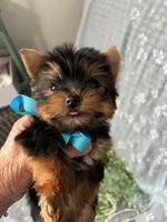 processed/d47b46e5-9207-4cc4-9f2b-ca1b657d922f/facility/2600920c-a4fc-4183-b41f-f6ca8848e8ae