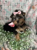 processed/d47b46e5-9207-4cc4-9f2b-ca1b657d922f/facility/39c8ff18-1345-4573-8ec6-9778cdd00515