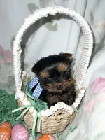 processed/d47b46e5-9207-4cc4-9f2b-ca1b657d922f/facility/6a06484e-3a91-4139-b72c-b4e1ca8220bf