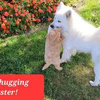 processed/d48a63cd-d445-42ac-bcd1-0124f03a0fb4/facility/a49ce356-f572-48cf-8a01-39696ca1b342