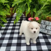 processed/d48a63cd-d445-42ac-bcd1-0124f03a0fb4/facility/fc7a5edf-67fe-4e8f-af4a-69c8edd07242