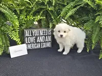 processed/d48a63cd-d445-42ac-bcd1-0124f03a0fb4/listing/0075b868-1549-43ae-ad38-22ebf685164b/02e98cb1-3322-4472-8361-4bd3e0bcf3f8