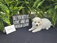 processed/d48a63cd-d445-42ac-bcd1-0124f03a0fb4/listing/0075b868-1549-43ae-ad38-22ebf685164b/3f98092f-7644-46a1-9f3b-7deb99d02f86