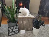 processed/d48a63cd-d445-42ac-bcd1-0124f03a0fb4/listing/0075b868-1549-43ae-ad38-22ebf685164b/4b05c409-d908-4c24-bb8c-6383a3c3d27a