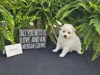 processed/d48a63cd-d445-42ac-bcd1-0124f03a0fb4/listing/0075b868-1549-43ae-ad38-22ebf685164b/a86a30d7-a874-47f1-9909-e0451cd83aab