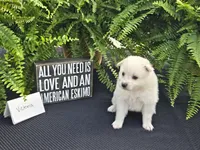 processed/d48a63cd-d445-42ac-bcd1-0124f03a0fb4/listing/0075b868-1549-43ae-ad38-22ebf685164b/af80f68b-e9ba-4c85-8311-68b18f0293ab