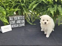 processed/d48a63cd-d445-42ac-bcd1-0124f03a0fb4/listing/1349eeba-859c-4742-93f4-7258369f124d/19eae9b2-68ed-4f2d-96f2-31dc65e55512