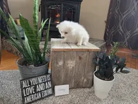 processed/d48a63cd-d445-42ac-bcd1-0124f03a0fb4/listing/1349eeba-859c-4742-93f4-7258369f124d/5828e7d0-a8fb-4339-97da-977ed2e390b8