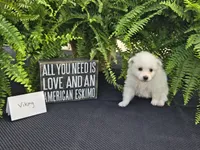 processed/d48a63cd-d445-42ac-bcd1-0124f03a0fb4/listing/1349eeba-859c-4742-93f4-7258369f124d/72daf0a1-0a1d-40d3-9592-6251d1299632