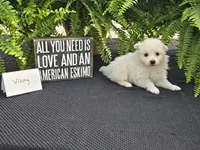 processed/d48a63cd-d445-42ac-bcd1-0124f03a0fb4/listing/1349eeba-859c-4742-93f4-7258369f124d/8d9961c3-61d6-4632-89d8-51bdf8a7d336