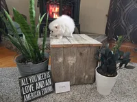 processed/d48a63cd-d445-42ac-bcd1-0124f03a0fb4/listing/1349eeba-859c-4742-93f4-7258369f124d/ba65e2cd-6bbd-419b-8ff0-866319696348