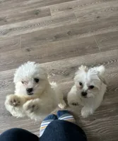 processed/d48b2ed5-c84c-4579-81e9-5ec05bbca581/listing/3bf84039-7f2d-4b26-bf5d-f3057c81d671/77c34644-ecda-488c-a502-fd89c59ccc8b