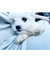 processed/d48b2ed5-c84c-4579-81e9-5ec05bbca581/listing/3bf84039-7f2d-4b26-bf5d-f3057c81d671/d3ee55b2-4ec0-4ab8-9260-ac4f26bf56a7