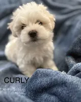 processed/d48b2ed5-c84c-4579-81e9-5ec05bbca581/listing/e0d9da72-7ae7-43c6-b211-b5bd9b8c8946/134d958e-4eec-4d21-9a86-8424a28f1f14