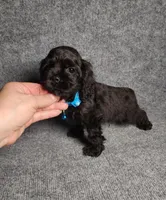 processed/d499eaf5-df62-4167-876d-2adfa29ec087/listing/d8c26ef3-be42-4bb3-9be5-ff6cad38c2dc/376ef409-4c9f-41cd-a88b-5df2b974ec06