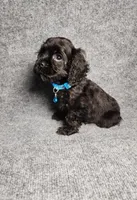 processed/d499eaf5-df62-4167-876d-2adfa29ec087/listing/d8c26ef3-be42-4bb3-9be5-ff6cad38c2dc/47368845-1d57-4020-8b69-40659f1d4784