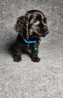 processed/d499eaf5-df62-4167-876d-2adfa29ec087/listing/d8c26ef3-be42-4bb3-9be5-ff6cad38c2dc/5b434a4c-cd27-4fe9-b006-33a98e9426d5