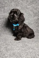 processed/d499eaf5-df62-4167-876d-2adfa29ec087/listing/d8c26ef3-be42-4bb3-9be5-ff6cad38c2dc/6c76e172-8ed7-435f-a253-f93d59b07e55