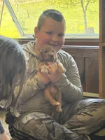 Sammy, a male Irish Doodle for sale in Wellsboro, PA – 2 of 5