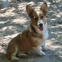 processed/d4cd3a1a-cb85-49b1-a9ae-98b0504bd0ae/facility/15661761-2215-470a-a44f-374e470310c1