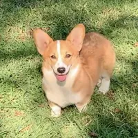 processed/d4cd3a1a-cb85-49b1-a9ae-98b0504bd0ae/facility/2de7cd75-ec19-4b6b-8209-8fda12043f7b