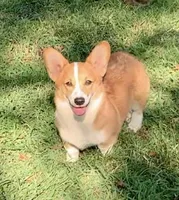 processed/d4cd3a1a-cb85-49b1-a9ae-98b0504bd0ae/facility/2de7cd75-ec19-4b6b-8209-8fda12043f7b