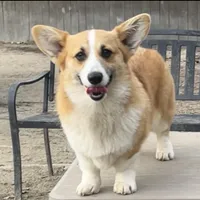 processed/d4cd3a1a-cb85-49b1-a9ae-98b0504bd0ae/facility/54d804d7-ae81-4305-a91b-83f8ab159d37