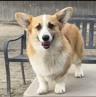 processed/d4cd3a1a-cb85-49b1-a9ae-98b0504bd0ae/facility/54d804d7-ae81-4305-a91b-83f8ab159d37