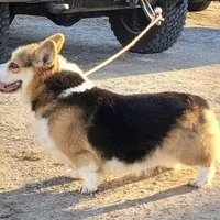 processed/d4cd3a1a-cb85-49b1-a9ae-98b0504bd0ae/facility/75a364b2-72ab-4018-bc45-493bcbdf96c3