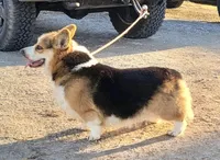 processed/d4cd3a1a-cb85-49b1-a9ae-98b0504bd0ae/facility/75a364b2-72ab-4018-bc45-493bcbdf96c3