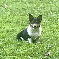 processed/d4cd3a1a-cb85-49b1-a9ae-98b0504bd0ae/facility/8d5504f4-313b-4999-8412-448610fcedc2