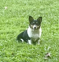 processed/d4cd3a1a-cb85-49b1-a9ae-98b0504bd0ae/facility/8d5504f4-313b-4999-8412-448610fcedc2