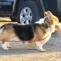 processed/d4cd3a1a-cb85-49b1-a9ae-98b0504bd0ae/facility/8f540057-d7f8-4424-a927-26252f92d4ef