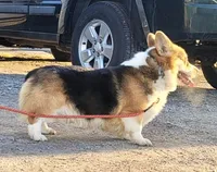 processed/d4cd3a1a-cb85-49b1-a9ae-98b0504bd0ae/facility/8f540057-d7f8-4424-a927-26252f92d4ef