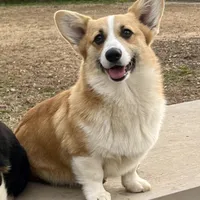 processed/d4cd3a1a-cb85-49b1-a9ae-98b0504bd0ae/facility/fe517847-5f8c-4ed2-8334-1fe140a26347