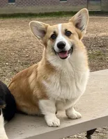 processed/d4cd3a1a-cb85-49b1-a9ae-98b0504bd0ae/facility/fe517847-5f8c-4ed2-8334-1fe140a26347