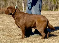 processed/d4cd3a1a-cb85-49b1-a9ae-98b0504bd0ae/facility/feacb518-efe0-400b-93aa-f1df4fef2db4