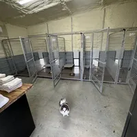 processed/d4ce657a-66cb-4ac1-8fbb-6da40c6627a5/facility/b60339e3-1cdb-485d-8d3c-0f268d138d35