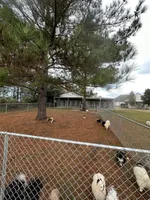 processed/d4ce657a-66cb-4ac1-8fbb-6da40c6627a5/facility/c3e4b161-2faa-416b-9efd-71cfc1e4ae3e