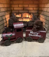 Velma, a female Pomeranian for sale in Lyons, GA – Photo 2 of 10