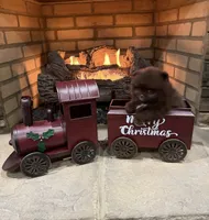 Velma, a female Pomeranian for sale in Lyons, GA – Photo 3 of 10