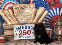 Reid, a male Pomeranian for sale in Lyons, GA – 2 of 10