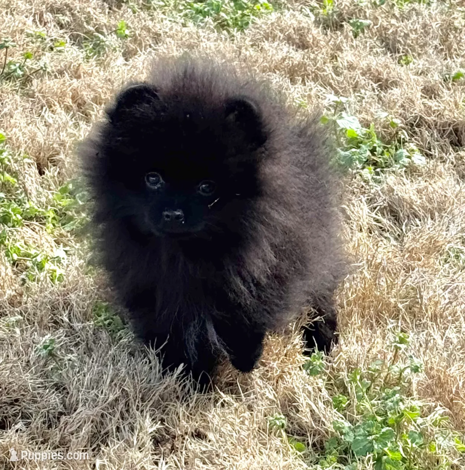 processed/d4ce657a-66cb-4ac1-8fbb-6da40c6627a5/listing/d547770e-b685-4466-845a-0615d87ac403/680aeee3-8dd2-4d69-b50a-57ba0e23ef31